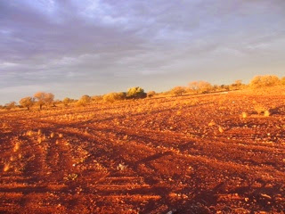Australie 22e jour (western australia)