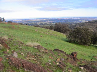 Australie 24e jour (Swan Valley)