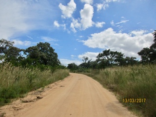 Hazyview, parc Krüger, Mpumalanga, Afrique du Sud.