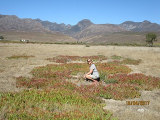 McGregor, Western Cape, Afrique du Sud