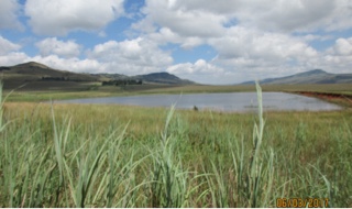 Piet Retief, Mpumalanga, Afrique du Sud.