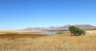 Tulbagh, western cape, Afrique du Sud.