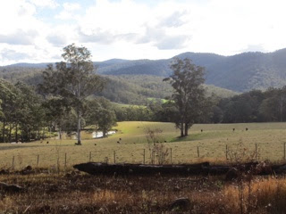 Australie 114e jour (l’état du New South Wales)