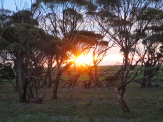 Australie 40e jour ( South Australia )