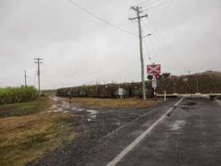 Australie 89e jour (Whitsunday Coast, Queensland)