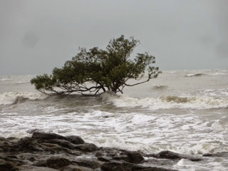 Australie 90e jour ( Rockhampton, Queensland)