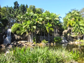 Australie 91e jour (Rockhampton, Queensland)