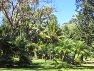 Australie 92e jour (Rockhampton, Queensland)