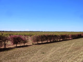 Australie 99e jour (Carnarvon national park, Queensland)