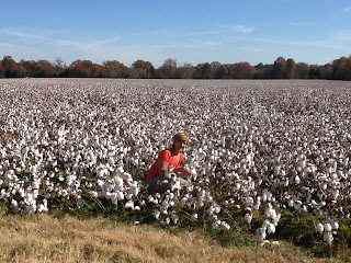 Covington, Tennessee.