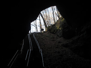 Hopkinsville Kentucky.