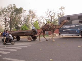 Jaipur, Rajastan 3e journée.