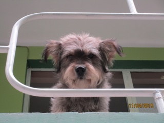 Petit message à nos amis lecteurs.