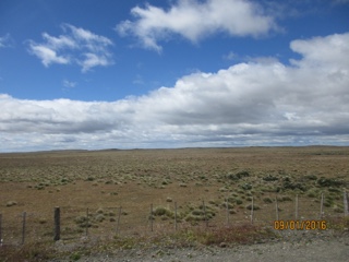 Punta Arenas, Patagonie, Chili
