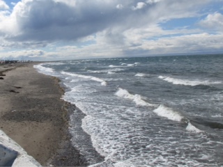Punta Arenas, Patagonie, Chili
