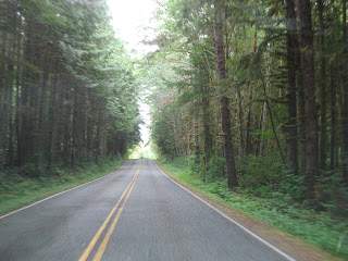 The Ho Rain Forest, Washington