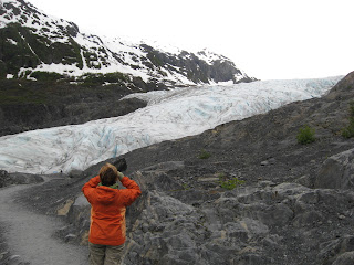 Le glacier Exit, Alaska