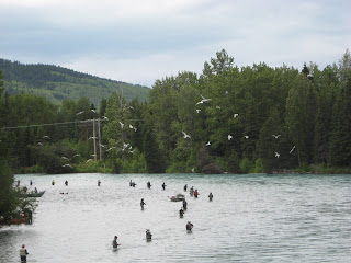 Le long de la rivière Kenai, Alaska
