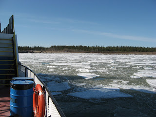 Seul avec les ours noir, Yukon