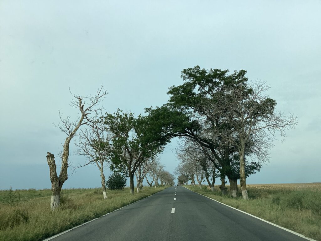 Constanta, au bord de la mer Noir