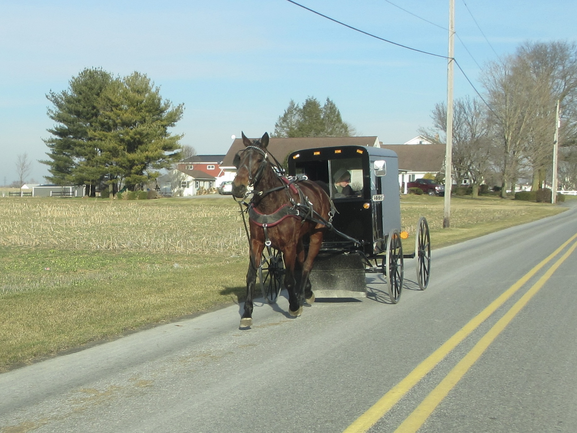 Pennsylvanie, chez les Amish