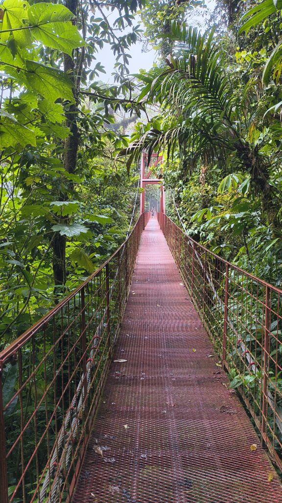 La Forêt de nuages, Monteverde