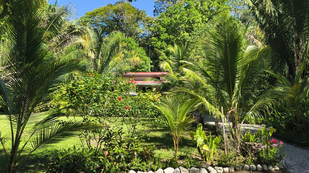 Sámara, playa Carillo