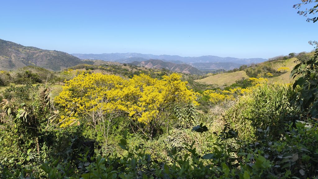 Playa Naranjo, péninsule de Nicoya