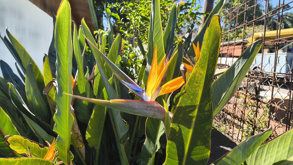 Dernier jour au Costa Rica